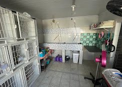 Pet Shop